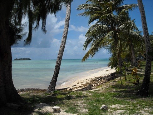 Micro Beach